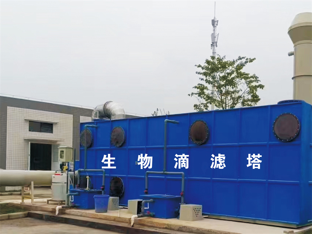 �����ֵ�����-������ʴ